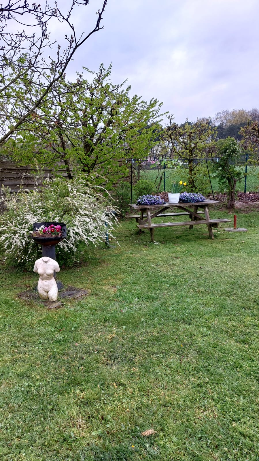 tuin