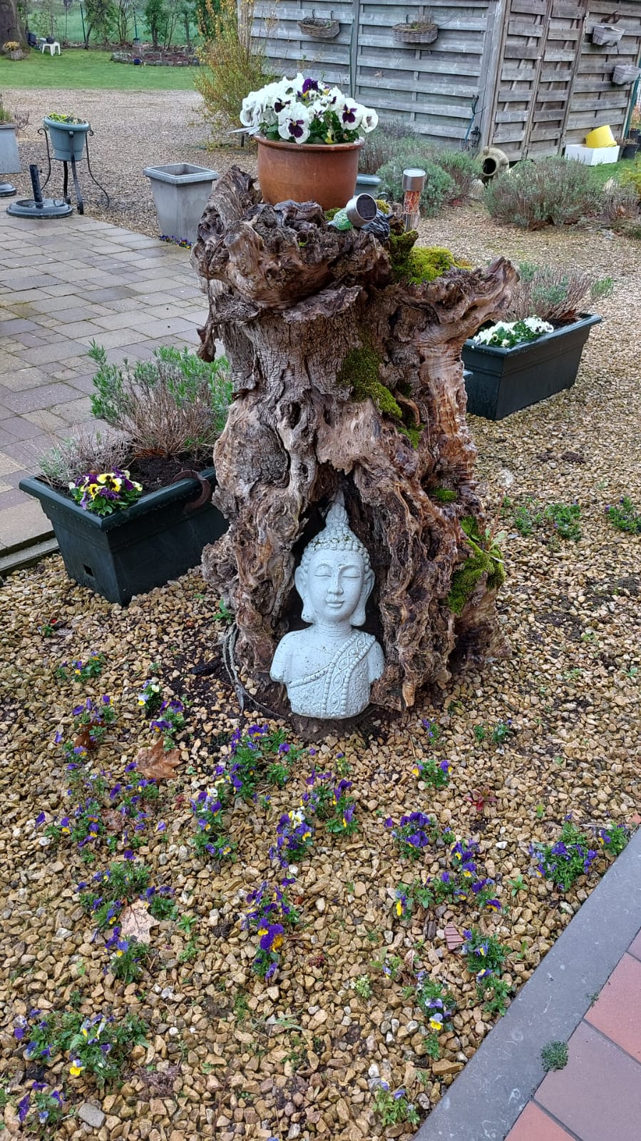tuin1