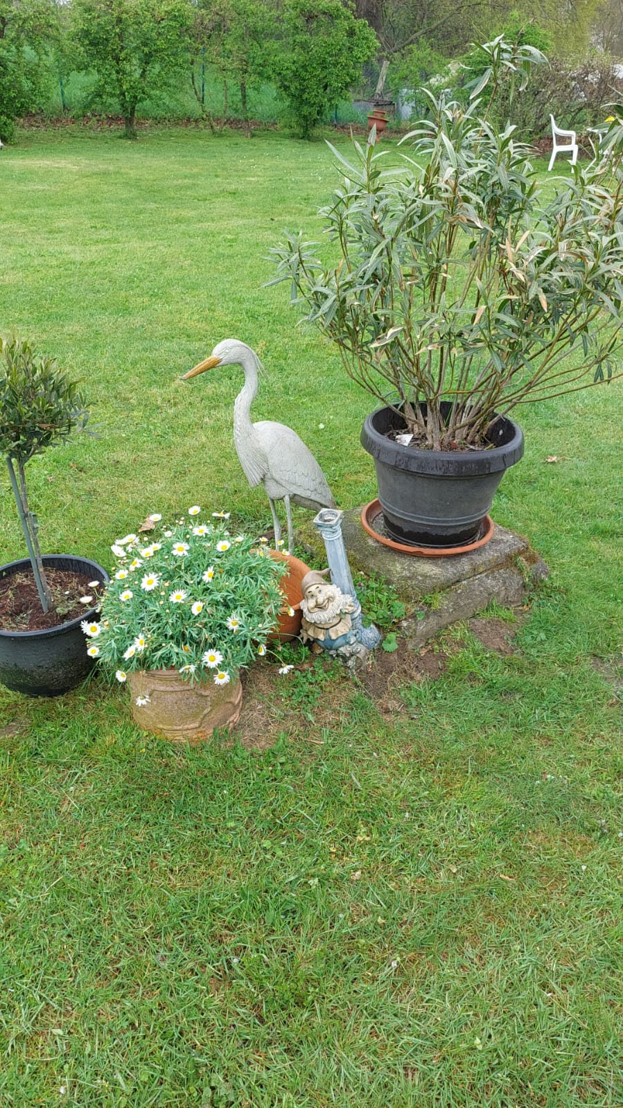 tuin3