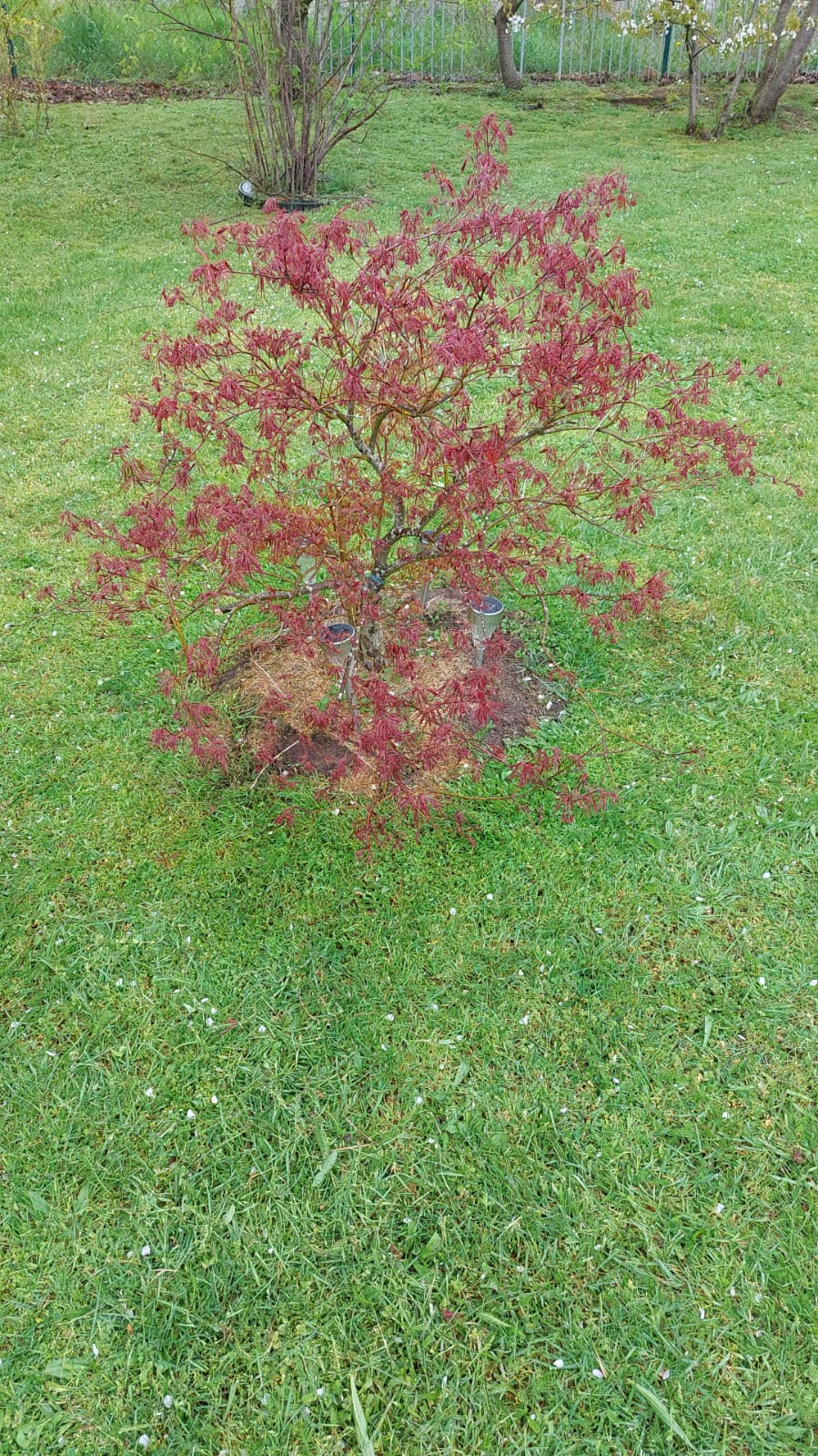 tuin4